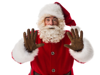 Santa Claus Portrait