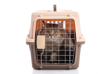 cat ponibcctyc vk pet carrier isolated on white background