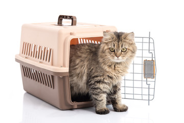Obraz premium cat ponibcctyc vk pet carrier isolated on white background
