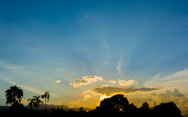 silhouette shot image of tree and sunset sky in background .