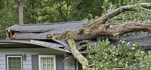 Foto op Plexiglas Onweer Storm omvalt boom en vernietigt dak van huis