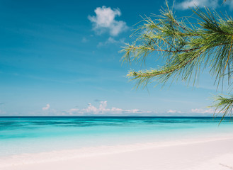 Fototapeta na wymiar blue sky with beach sea and leaf - film filter