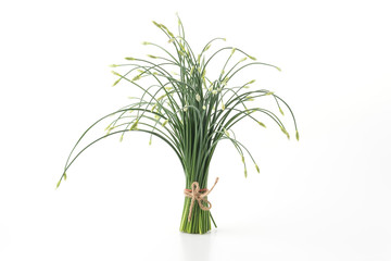 Chinese chives