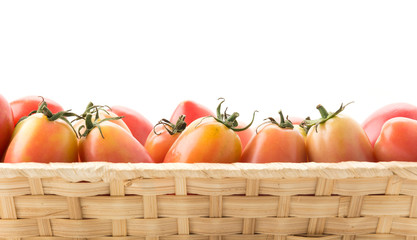 fresh tomato