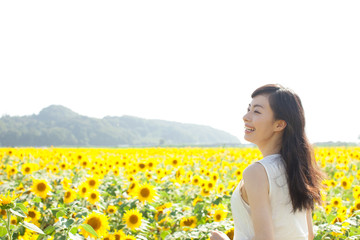 Fototapeta premium ヒマワリと女性