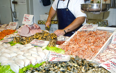 Puesto de pescado en el mercado de Cádiz. España.