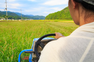 Fototapeta na wymiar Tractor plowing  a rice field in Japan 