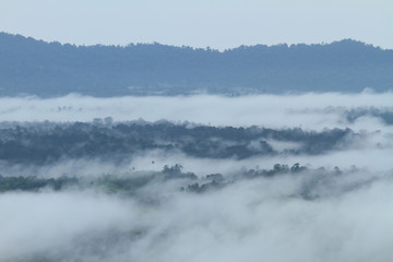 the mist on the mountain