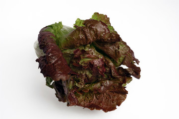 red lettuce
