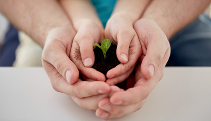 close up of father and girl hands holding sprout