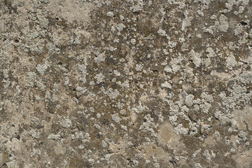 old wall texture or bacground