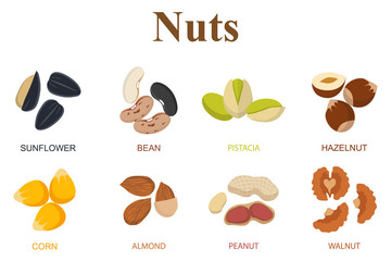 Set of eight different types nuts on a white background