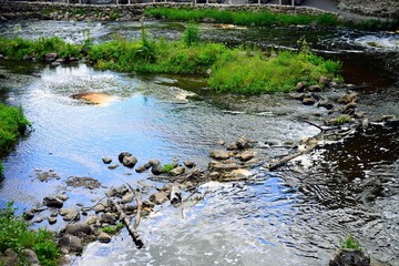 River Vilnele in Entertainment and Recreation Center Belmontas