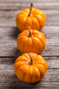 Three mini pumpkins