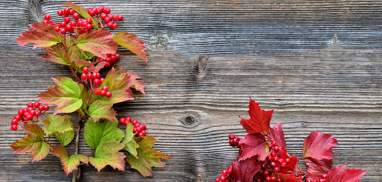 Herbst buntes Laub Holz Hintergrund