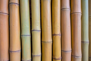 Background made of bamboo branches