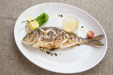 grilled dorado