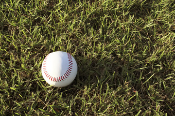 Baseball ball and lawn