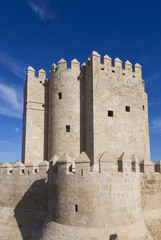 Fototapeta na wymiar Calahorra tower, Cordoba, Andalucia, Spain