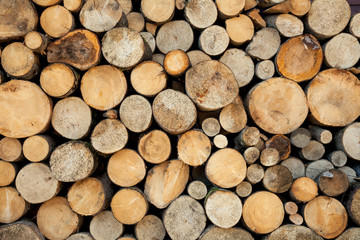 Wood log pile background, natural colors and texture