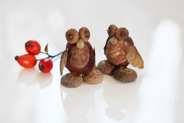 Eule aus Herbstfr&uuml;chten