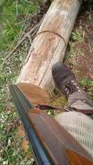 cacciatore al capanno