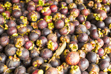 mangosteen
