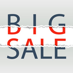 Big sale. Sale poster. Torn paper. Vector illustration.