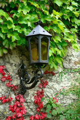 lantern on the old wal