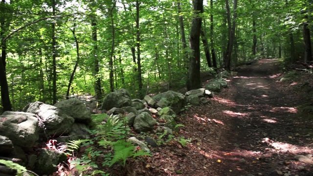 Devils Den Conservancy Park