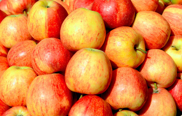 Fototapeta na wymiar apples