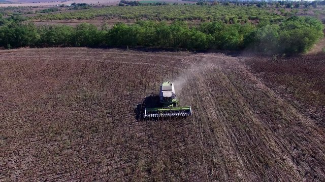 Harvester Collects Sunflowers. Aerial Survey 4K DJI Phantom Professional