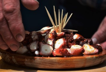 Pulpo