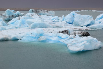 Fototapeta na wymiar Gletschersee Jökulsarlon auf Island mit blau schimmernden Eisbergen