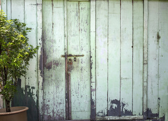 Blue old door