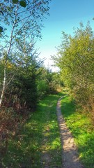 Wanderweg durch die Natur 