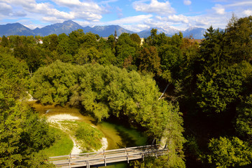 forest and mountain landscape