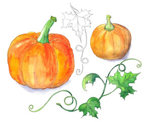 Bright orange pumpkins with green leaves, watercolor pattern, original floral decoration.