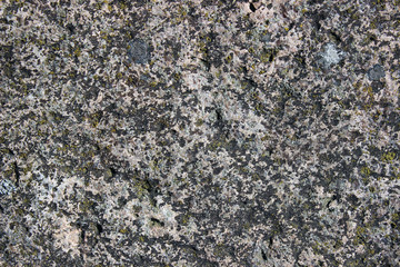 The surface of an old rock