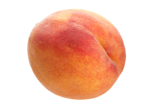 Peach fruit on white