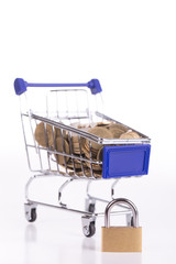 security shop online
