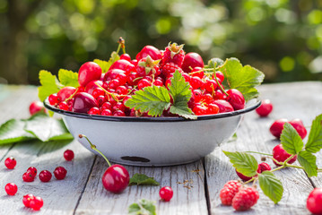 set fresh fruits wooden table