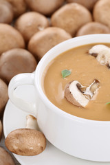 Pilzsuppe Pilz Champignons Suppe mit vielen frischen Pilze