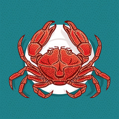 Vector illustration of crab on a plate in vintage style. Seafood Restaurant logo or emblem template.