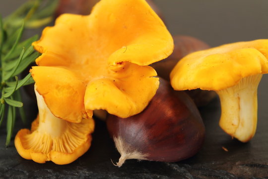 girolles et ch&acirc;taignes - alimentation saine et biologique 