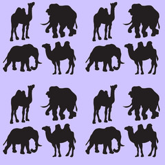 Illustration background with camels and elephants. Seamless pattern.