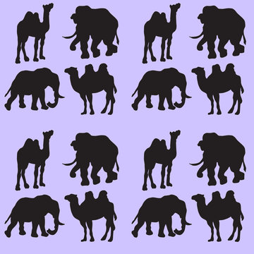 Illustration background with camels and elephants. Seamless pattern.