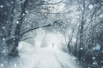 man on snowy path in forest winter journey