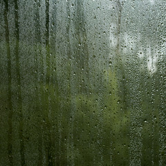 condensation droplets in a window glass, green nature abstract b