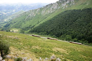 Fototapeta na wymiar Train de la Rhune Pays Basque France 7